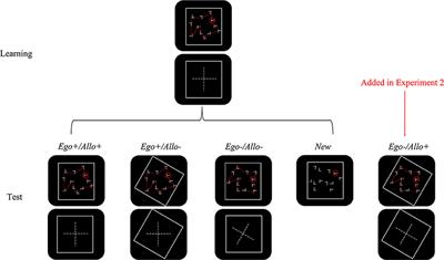 Egocentric and Allocentric Reference Frames Can Flexibly Support Contextual Cueing